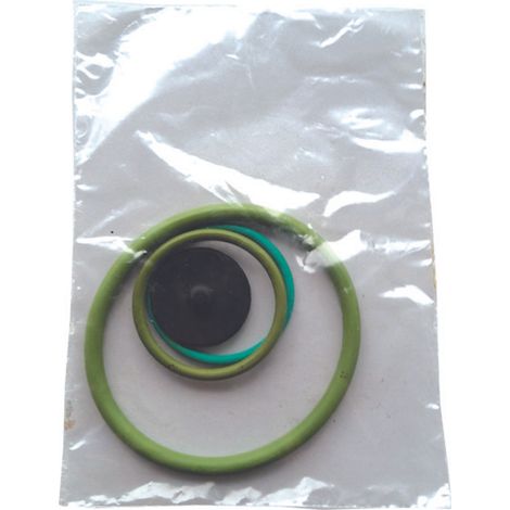 Set Ricambi Per Pompa Ares Viton
