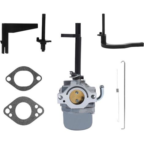Carburateur Nikki pour Souffleuse à Neige Briggs & Stratton - Remplace 591378, 699966, 699958 (1/5)