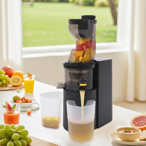 800W Entsafter Gemüse und Obst Spiral-Kaltentsafter, Saftpresse Elektrisch 500ml Langsamer Entsafter Elektrische Saftpresse für Obst, Gemüse (1/5)