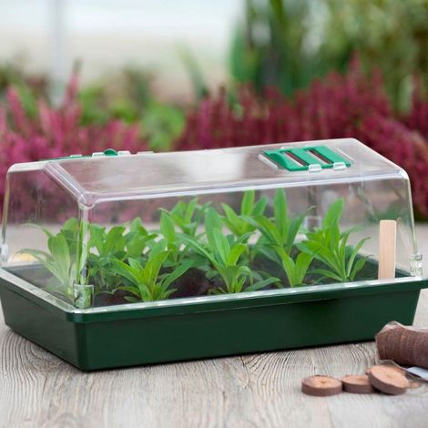 Filiyano – kit de démarrage lot – Mini serre Nature, kit de démarrage lot x200, design multicolore (1/5)