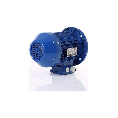 Motor 1 PS / 400 Volt komplett mit Absaugung