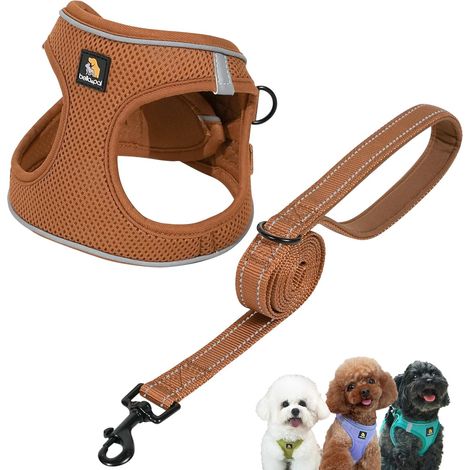 Ensemble harnais et laisse pour chien - Harnais pour chiot - En maille respirante avec bandes réfléchissantes - Gilet anti-traction pour chiots/chiens de très petite taille, mocha, M (1/5)