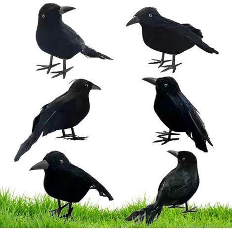 et corbeaux dHalloween Ornements effrayants plumes noires (1/5)