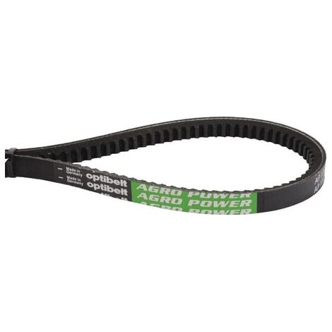 Correa trapezoidal OPTIBELT X696619200000AB