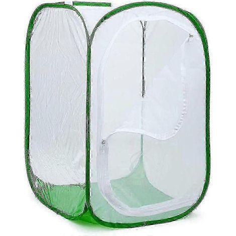 Grand terrarium pliable pour papillons, avec filet à insectes et papillons pour l'élevage. (1/5)
