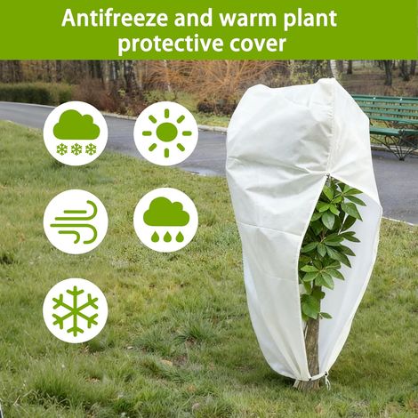 Copertura invernale per piante da esterno, set di 2 coperture invernali 80 x 120 cm, sacco per serra invernale da 60 g/m², coperture protettive per palme, ulivi, limoni contro freddo e gelo (1/4)
