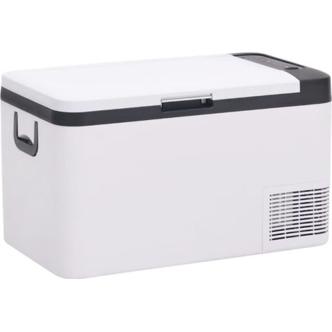 Kühlbox mit Tragegriff Schwarz/Weiß 25L PP & PE