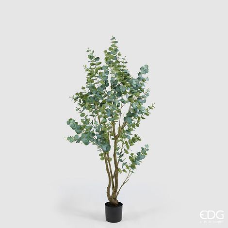 EDG Enzo De Gasperi Eucalipto con Vaso H 210 Cm Pianta Artificiale Verde