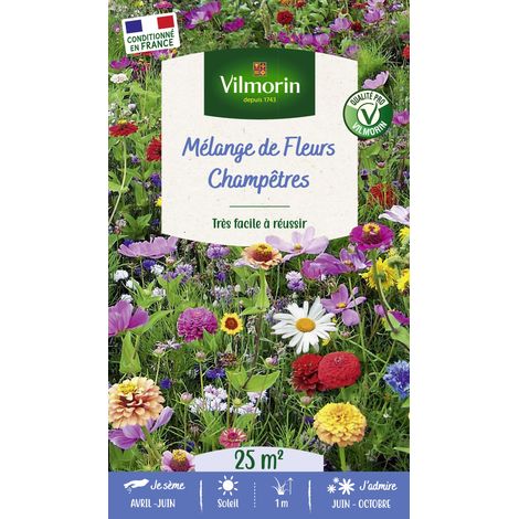 Fleurs Champêtres - 25 m² - Mélange de fleurs Vilmorin (1/3)