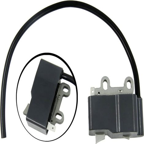 Bobina di accensione compatibile con i modelli A411000500 A411000501ES-250 PB250LN - ALTRO (1/2)