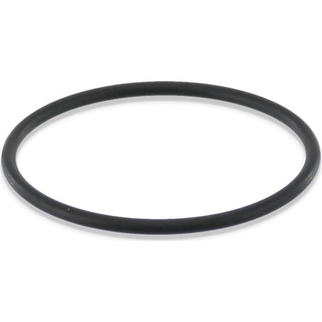 Ersatzteil - O-Ring 167 PO EPDM 70 SH -  - GAGGIA, PHILIPS