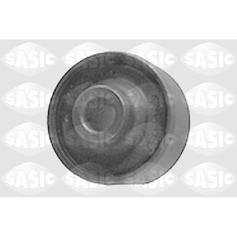 GOUPILLE DE BRAS OSCILLANT 9001537 SASIC
