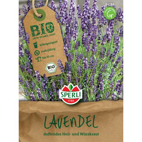 Sperli Lavendelsamen - 1 Portion (1/3)