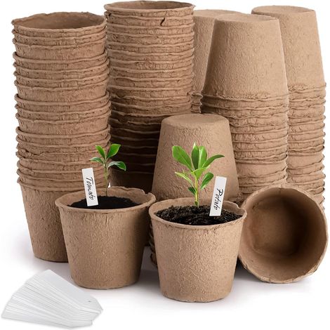 Filiyano-Lot de 100 pots de tourbe de 10 cm, pots de germination biodégradables, étiquettes pour plantes, godets de germination jetables, fleurs (1/5)