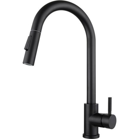 Kitchen Faucet with Pull-Out Spray in Modern Stainless Steel Single Handle Frosted Black (1/4)