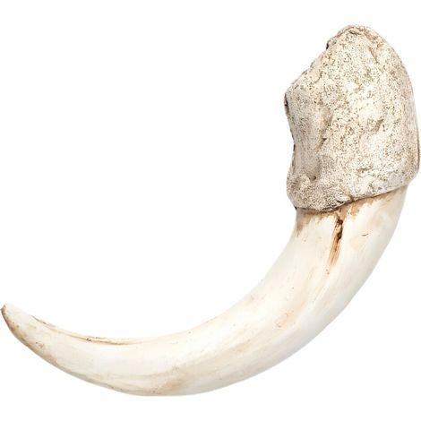 Pezzo unico in resina, diversi modelli B