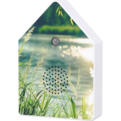Vogelgezwitscher-Box – Naturgeräusche-Player, Hvid Støj Gerät, Entspannungsgerät mit Timer  Beruhigende Klanguhr für Zuhause (Schlafzimmer, Badezimmer) (1/5)