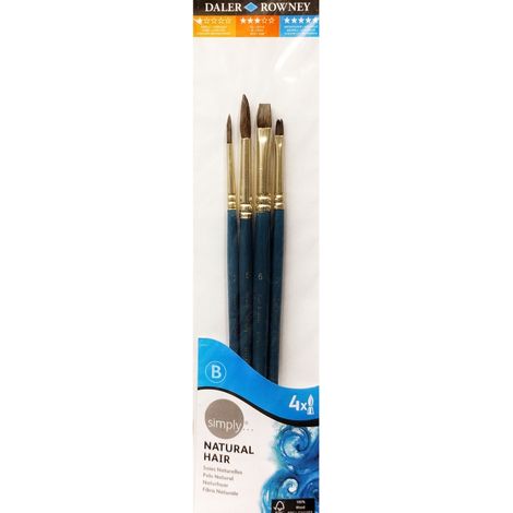 Ensemble de 4 brosses en poils de chameau Daler Rowney (1/3)