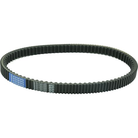 Cinghia di trasmissione Athena 26.5x14.5x1008 per scooter Piaggio e Aprilia 500 (1/2)