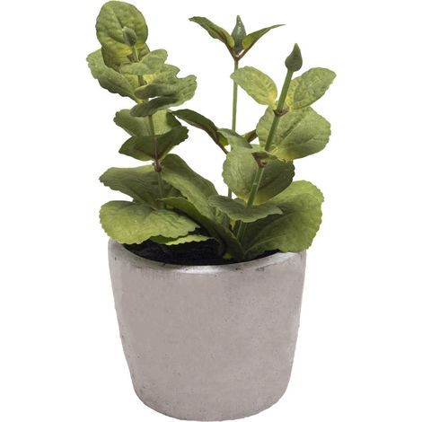 Herbe aromatique artificielle Menthe H 17 cm, D 11cm pot Béton (1/3)