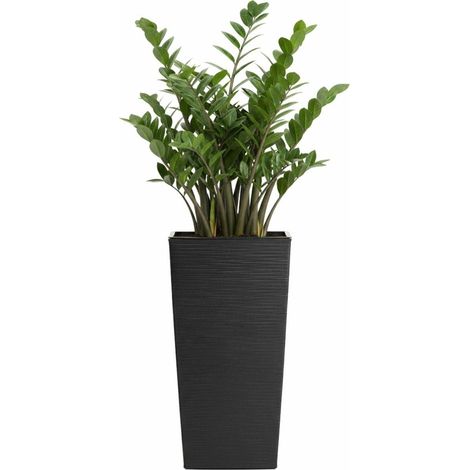 Porto Riflo Blumentopf schwarz h46x25x25 cm