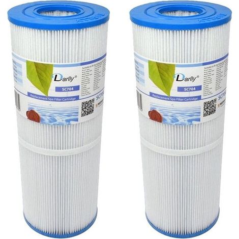 Filtre pour spa Darlly SC704 / 42513 / C-4326 (1/3)