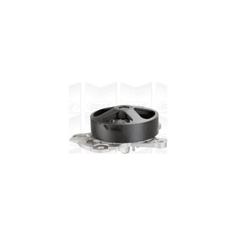 Pompe à eau, refroidissement du moteur GRAF PA1134 LOTUS 16100-09501 16100-09502