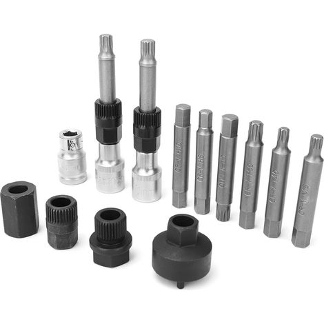 13-teiliges Steckschlüssel-Bit-Set zum Ausbau der Freilaufriemenscheibe von Lichtmaschinen – Service-Handwerkzeugsatz (1/5)