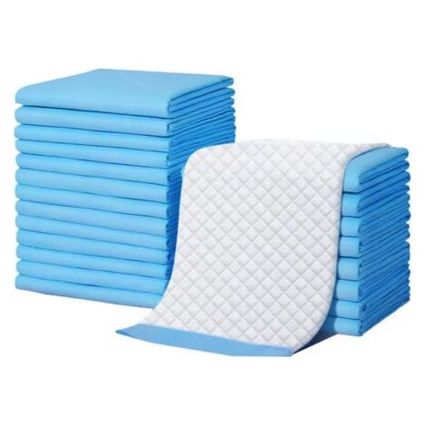 Dog Training Pads, 100 Pack Dog Training Pads, 33 x 45 cm Disposable Puppy Training Pads, Super Absorbent, Odor-Resistant, Thickened Version (1/4)