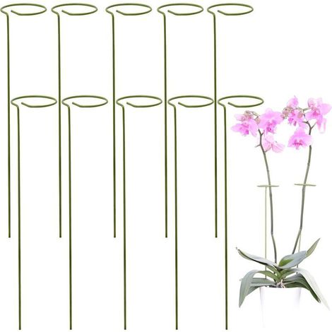 Kit 10 Tuteur Plante, Supports pour Plantes Grimpantes et Fleurs, Tuteur Vert, Aidez Vos Fleurs à Pousser, Tuteurs Tomates Jardin , Pieux à Orchidées, Amaryllis, Pivoines, Poivrons et Plus (1/4)