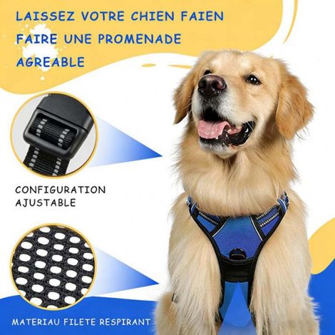 Harnais Anti Traction - Réglable Respirant Pour Chiens Petits Moyens Grands - Rouge - Taille S (1/5)