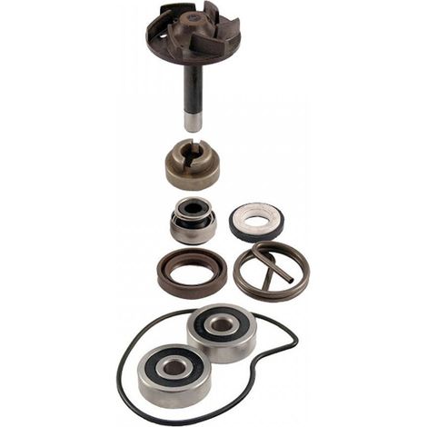 rms wasserpumpe für roller piaggio 250 x9 2004 m23000000 neu