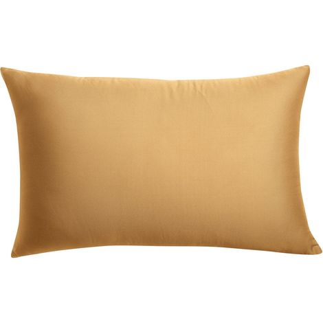Coussin Décoratif Recyclé - Coussin Rectangulaire pour Salon et Chambre 40 x 65 cm - PANGIVO (1/3)