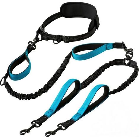 Laisse double mains libres améliorée pour chiens de moyenne et grande taille – Laisse double avec poignées rembourrées, coutures,y (1/5)