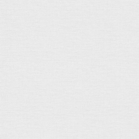 BRICOFLOR Papier peint Gris - Papier peint Uni - 10,05 x 0,53 m (1/5)