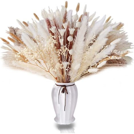 75 pièces de décoration florale séchée, herbe de la pampa séchée naturelle.