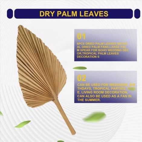 6 Pièces Feuilles de Palmier Séchées éventails de Palmiers Séchés Naturels Grande Lance de Palmier pour Décor de Comme illustré (1/5)
