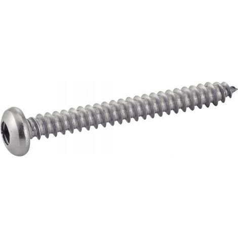 Acton Viti per lamiera in acciaio inossidabile A2 4,8x100 mm scatola 100 pezzi