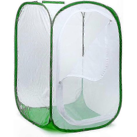 Grand enclos pliable pour papillons, filet d'élevage d'insectes et de papillons (1/3)