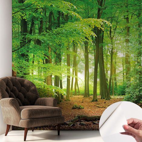 Papier peint autocollant adhésif avec motifs pour salon et chambre accessoire stylé pour votre intérieur Forêt verte 250x250 cm (1/5)