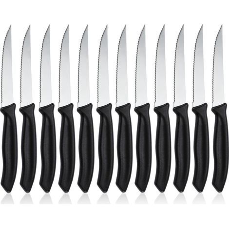 12-teiliges Set gezahnter Tafelmesser, Frühstücksmesserset aus Edelstahl, Steakmesserset für Zuhause und Gastronomie, spülmaschinenfest