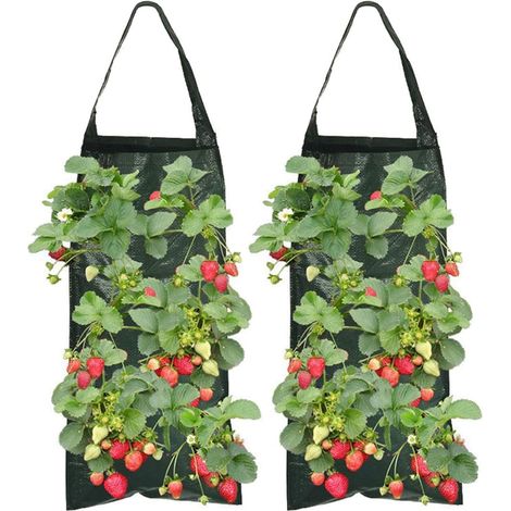 2 Pièces Sac De Plantation Fraises, Sac De Culture À Fraises De Plantation Vertical Suspendu, Sacs Plantation Respirant, Suspension Plante Exterieur avec 8 Trous pour Fraise Légumes Fleurs (1/5)