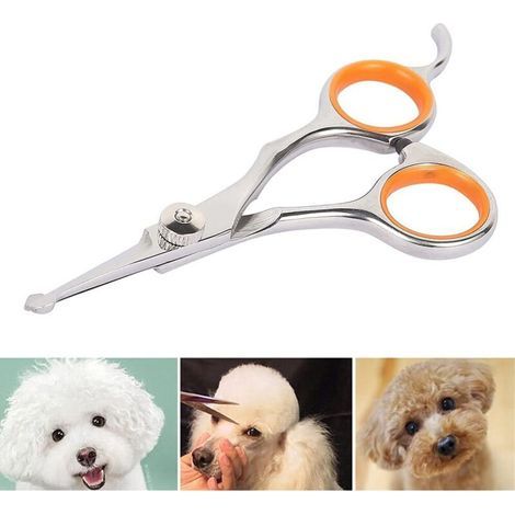 Ciseaux pour Chien Acier Inoxydable Tranchant 13×5.5×0.5cm Ciseaux Toilettage Chien Professionnel pour Chats Chiens et Autres Animaux de Compagnie (1/5)