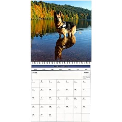 Calendrier mural 2027 épais Gestion d'emploi du temps et Décoration (1/5)
