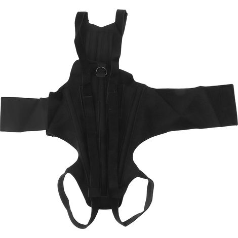 Sangle dorsale chien hernie disque arthrose récupération chirurgicale colonne vertébrale corset animal M (1/5)