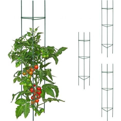 Set supporto per piante da 4150 cm 883 (1/5)