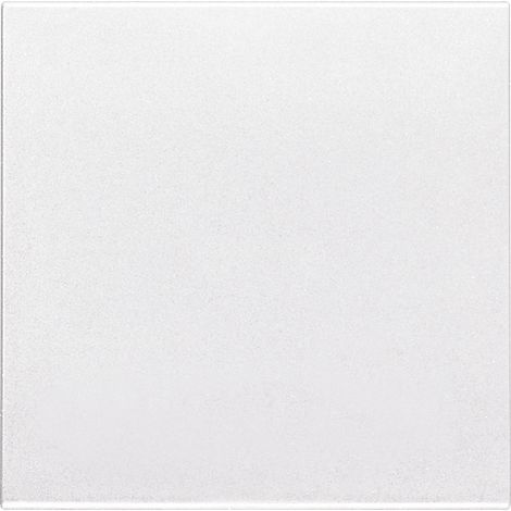 VIMAR - 20506.2.B 2M Funk-Steuerknopf, weiß
