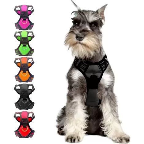 Arnés para perros, correas reflectantes, ajustable para todas las razas, chaleco cómodo para pasear y entrenar. (1/5)