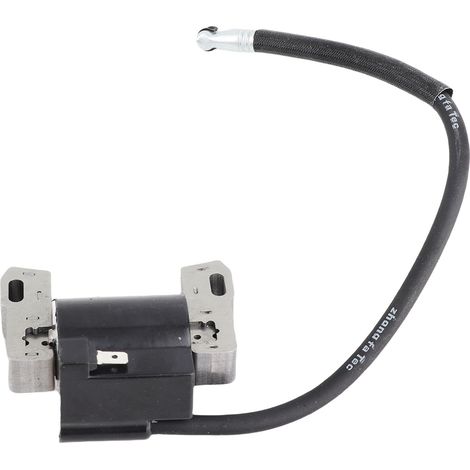 Bobine d'allumage compatible remplacement pour Briggs & Stratton 691060 592846 799651 pièce détachée moteur tondeuse (1/5)
