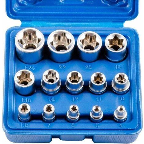 Lot de 14 Douilles Torx Femelles E4 à E24 pour Clés Dynamométriques et Outils Hexagonaux (1/3)
